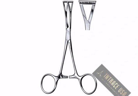 Collin Tissue & Organ Holding Forcep