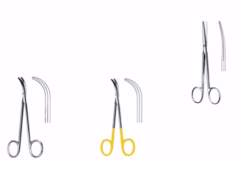 Fomon Dissecting Scissors