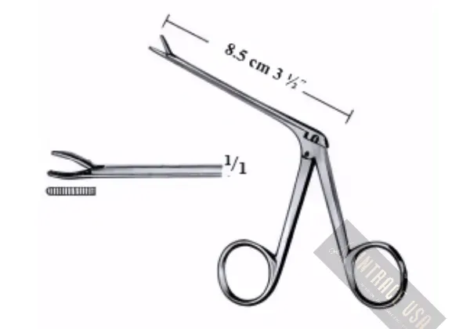 Hartmann-Weingartner Ear Polypus Forceps - Surgical Grade Alligator Forceps for Ear Surgery - Intrace USA