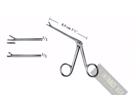 Hartmann-Wullstein Ear Polypus Forceps - Surgical Grade Miniature Alligator Forceps for Ear Surgery - Intrace USA