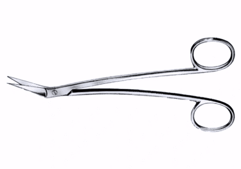 Locklin Gum Scissors