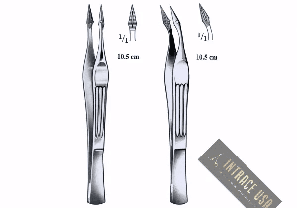 Walter-Carmalt Splinter Forcep
