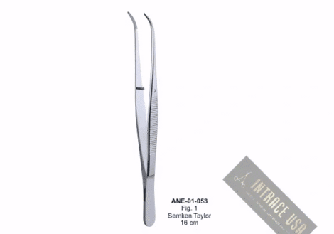 Semken Taylor 16 cm Fig. 1