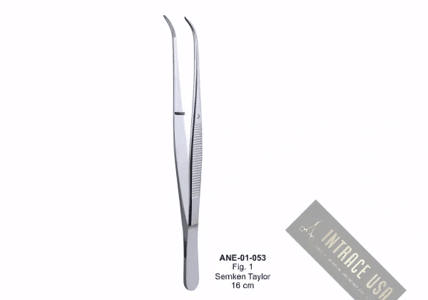 Semken Taylor 16 cm Fig. 1