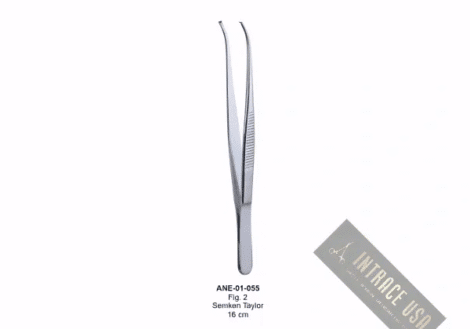 Semken Taylor 16 cm Fig. 2
