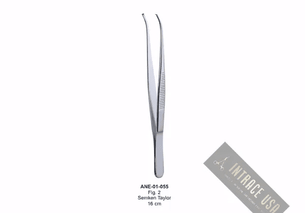 Semken Taylor 16 cm Fig. 2
