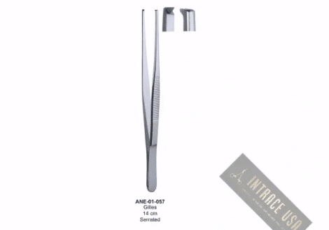 Gilles 14 cm Serrated