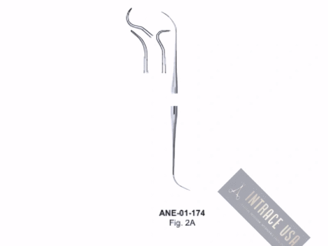 Canal or Endodontic Explorer Fig. 2A