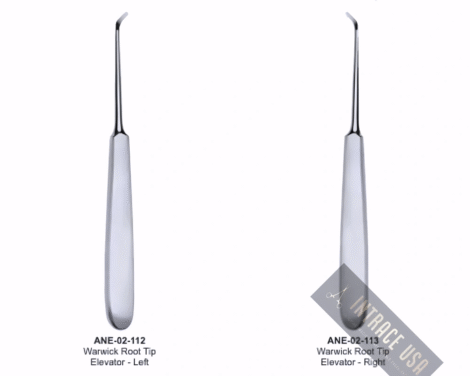 Warwick Root Tip Elevator - Right