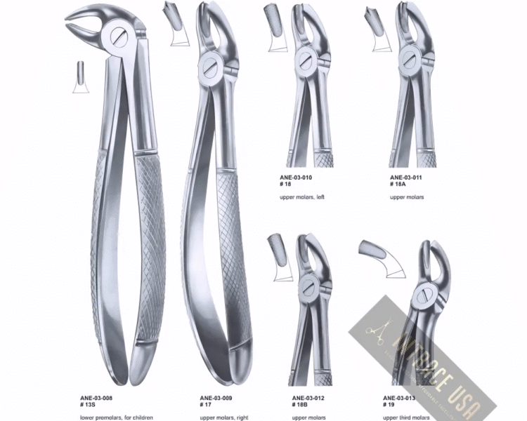 Extracting Forceps lower premolars, for children Fig. 13S