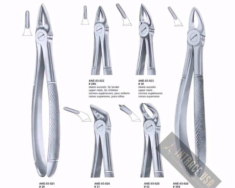 Extracting Forceps lower roots Fig. 31