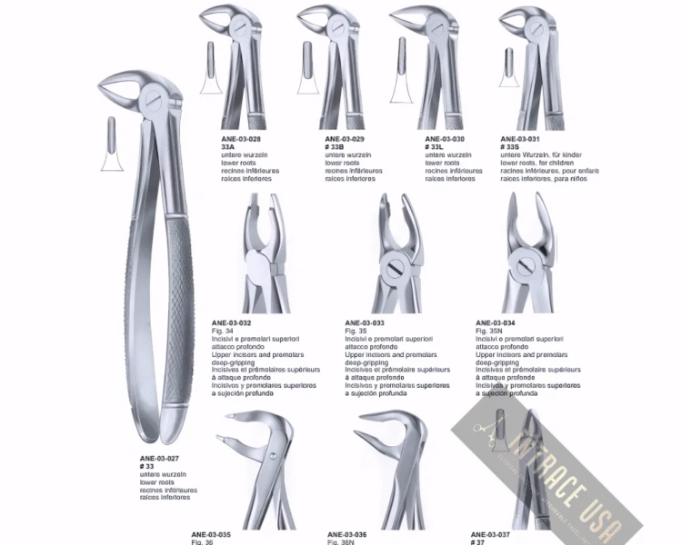 Extracting Forceps lower roots, for children Fig. 33S