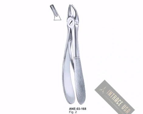 Forceps For Children upper premolars Fig. 2