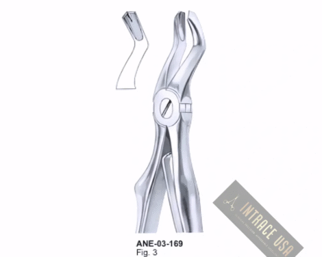 Forceps For Children upper molars Fig. 3