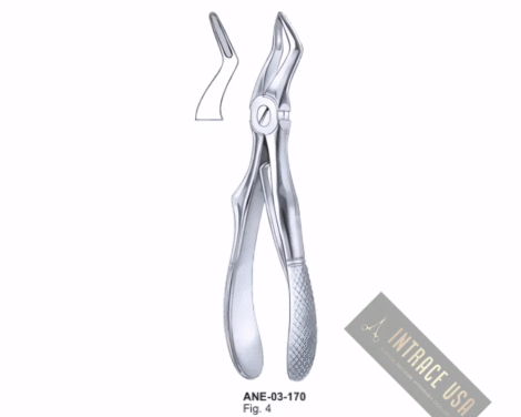 Forceps For Children upper roots Fig. 4