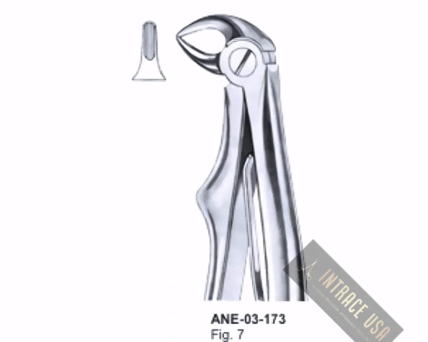 Forceps For Children lower roots Fig. 7