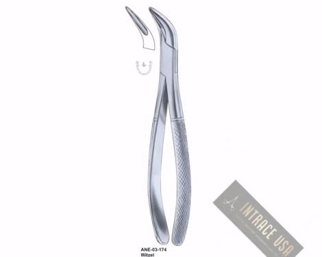 Roots Splinter Forceps Witzel lower roots