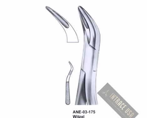 Roots Splinter Forceps Witzel upper roots