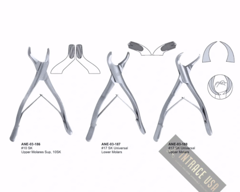 Extracting Forceps Universal Upper Molars Fig. 17 SK