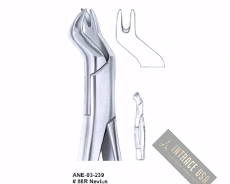 Extracting Forceps Nevius upper molars, right Fig. 88R