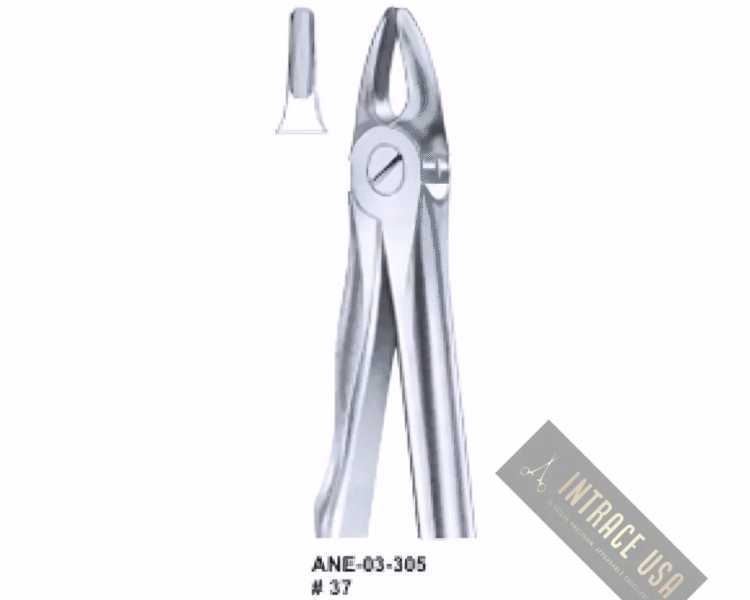 Extracting Forceps upper incisors, for children Fig. 37