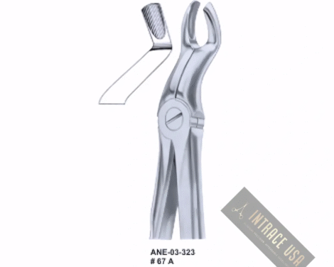 Extracting Forceps upper third molars # 67 A