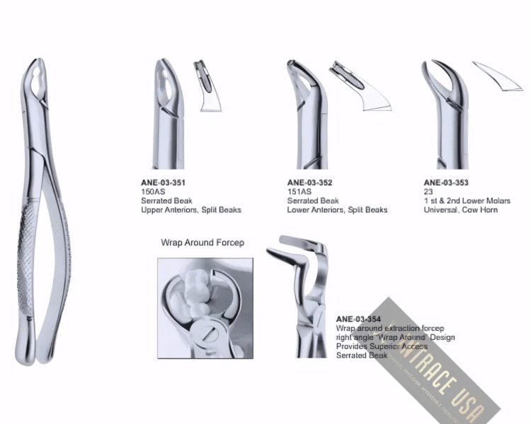 Extracting Forceps 1 st & 2nd Lower Molars Universal, Cow Horn Fig. 23