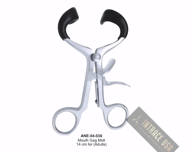 Mouth Gag Molt 14 cm for (Adults)