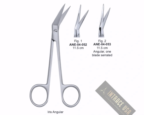Iris Angular, Angular, one blade serrated, 11.5 cm, Fig. 2
