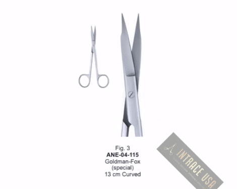 Goldman-Fox  (special) 13 cm Curved