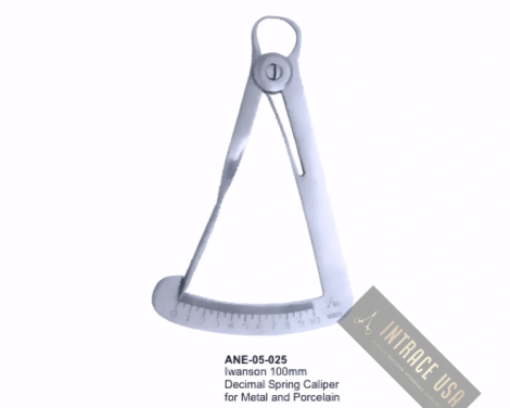 Iwanson 100mm Decimal Spring Caliper