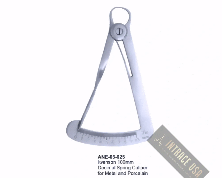 Iwanson 100mm Decimal Spring Caliper