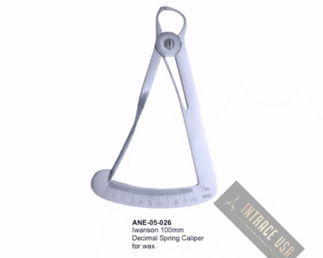 Iwanson 100mm Decimal Spring Caliper