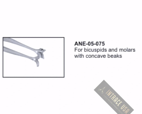 For bicuspids and molars with concave beaks