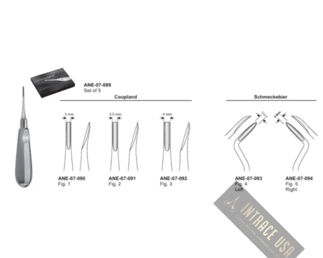 Schmeckebier Root Elevator Fig. 04, Right