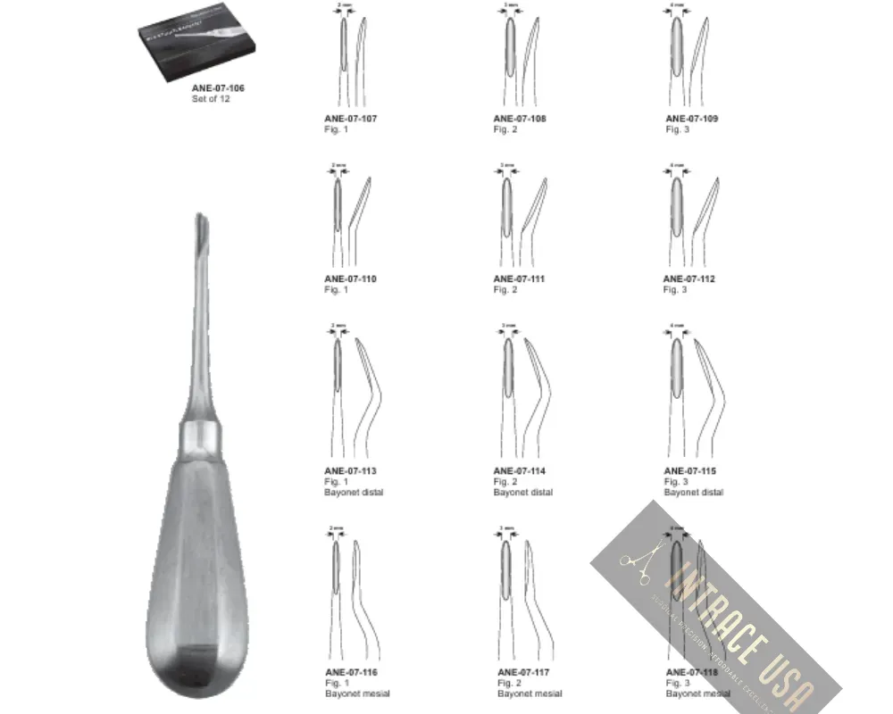 Root Elevator Fig. 01 Bayonet Mesial