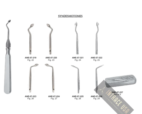 Syndesmotomes Root Elevator Set of 08 pieces