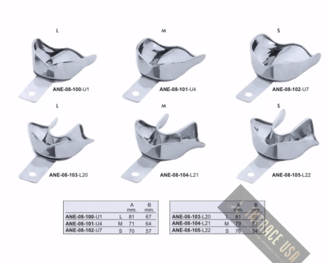 Impression Trays Solid With Rim Lock