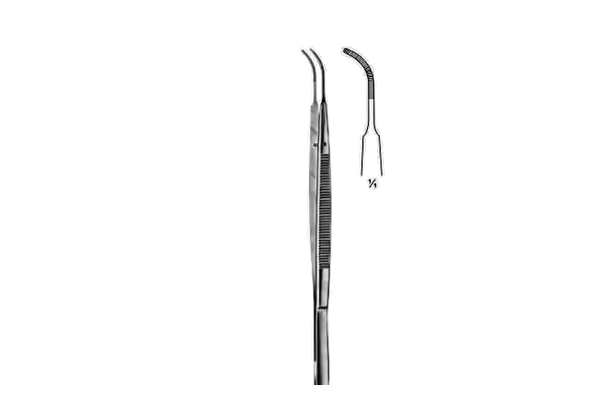 Gerald Tissue Forcep