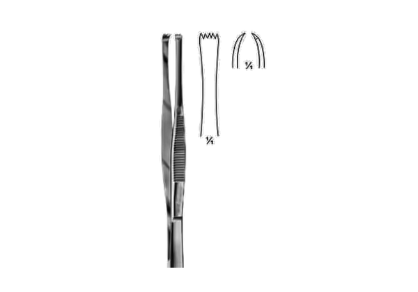 Stone Tissue Forcep