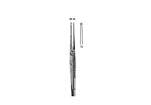 Taylor Tissue Forcep