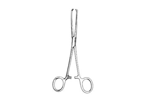 Allis Tissue and Organ Holding Forcep