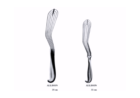 Allison Lung Spatula