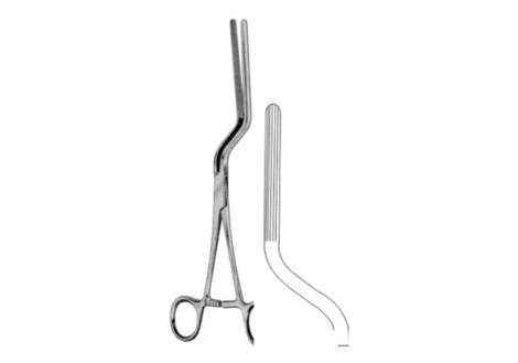Brunner Intestinal Clamp Forceps