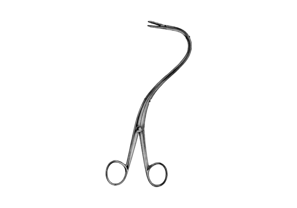Elsasser nephrostomy forceps, 20 cm, curved shaft