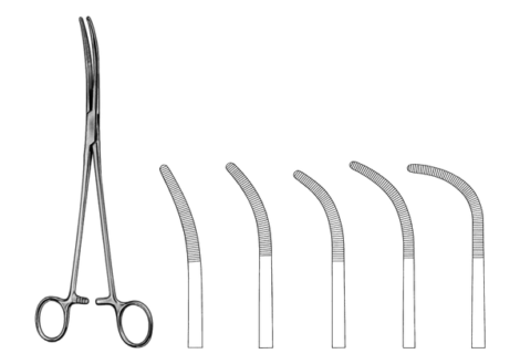 Rumel Dissecting Forceps