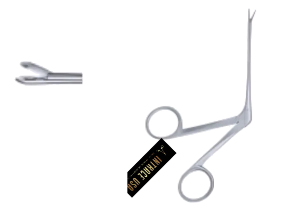 Struempel Ear Polypus Forceps