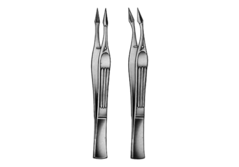 Walter-Carmalt Splinter Forceps