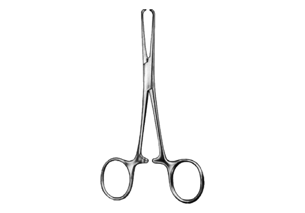 Allis- Baby Tissue and Organ Holding Forcep, 4 X 5 Teeth