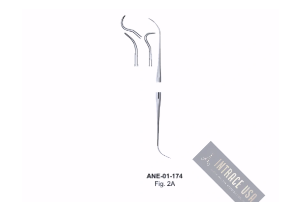 Canal Or Endodontic Explorer A